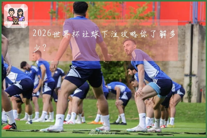 2026世界杯让球下注攻略你了解多少？