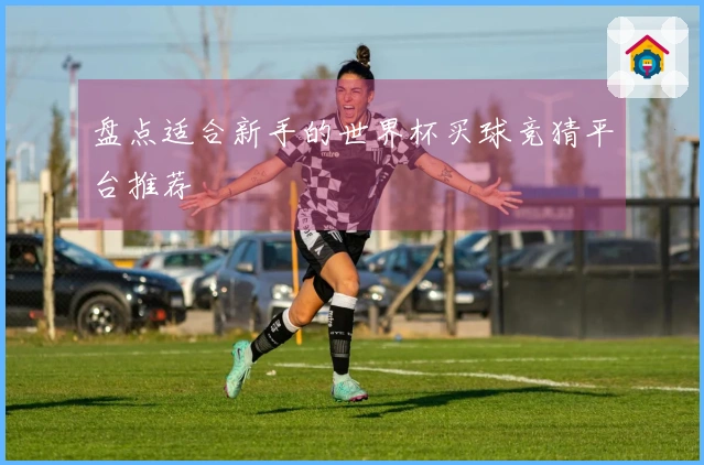 盘点适合新手的世界杯买球竞猜平台推荐