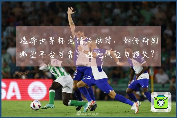 选择世界杯竞猜活动时，如何辨别哪些平台可靠，避免风险与损失？
