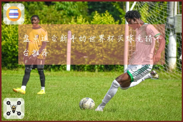 盘点适合新手的世界杯买球竞猜平台推荐