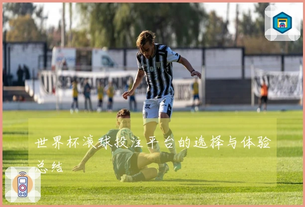 世界杯滚球投注平台的选择与体验总结