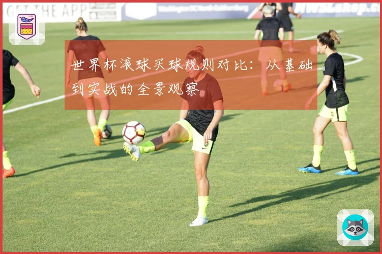 世界杯滚球买球规则对比:从基础到实战的全景观察