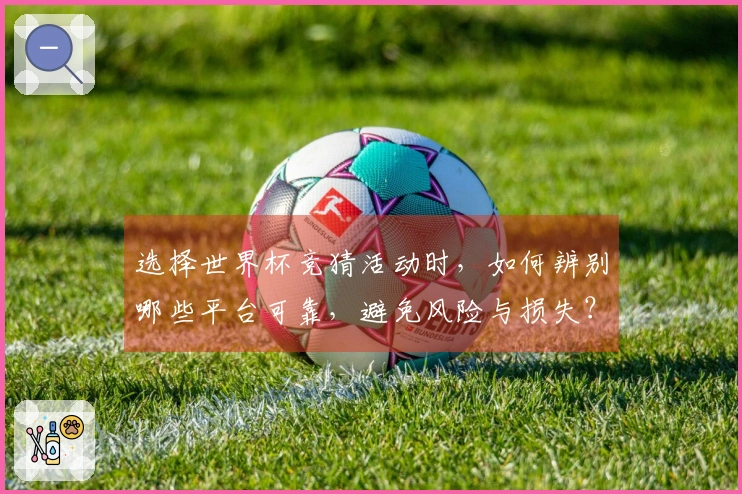 选择世界杯竞猜活动时，如何辨别哪些平台可靠，避免风险与损失？
