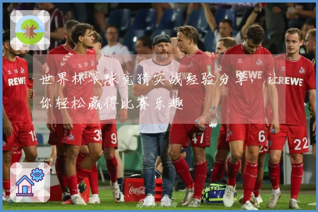 世界杯滚球竞猜实战经验分享，让你轻松赢得比赛乐趣