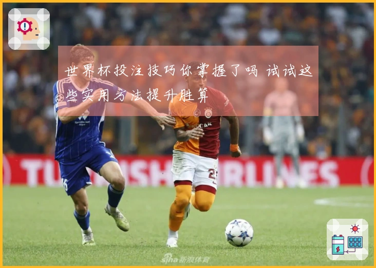世界杯投注技巧你掌握了吗 试试这些实用方法提升胜算