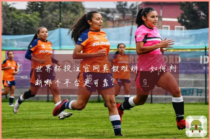 世界杯投注官网真假难辨，如何判断哪个平台更可靠？