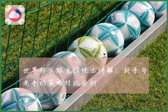世界杯买球竞猜玩法详解：新手与老手的策略对比分析